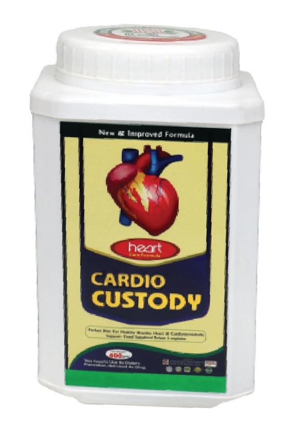 Cardio Custody (Big)